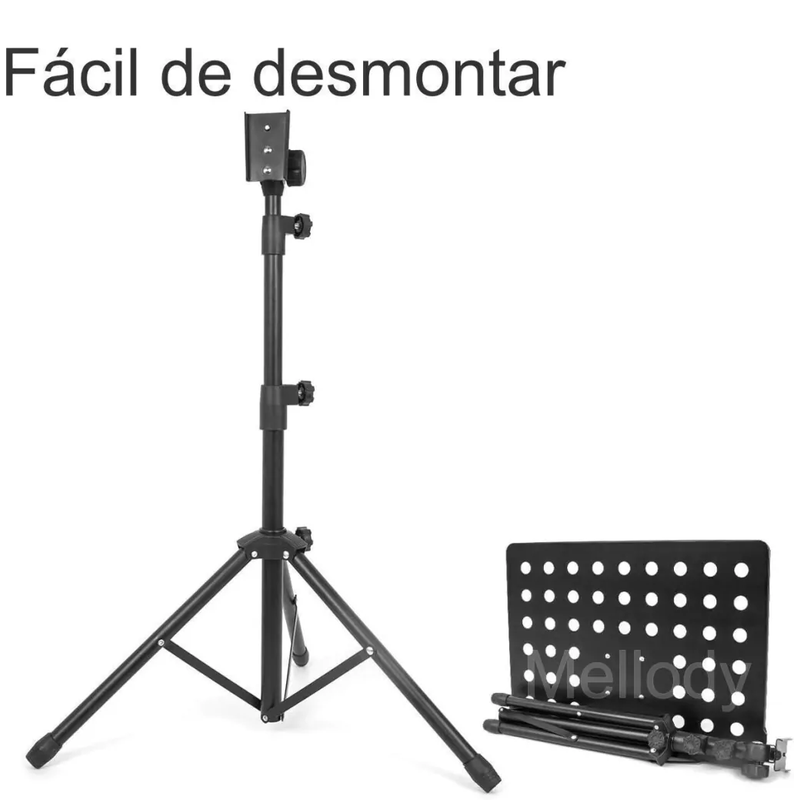 foto 4 mellody edaaf4c507a056df3517056016135709 1024 1024